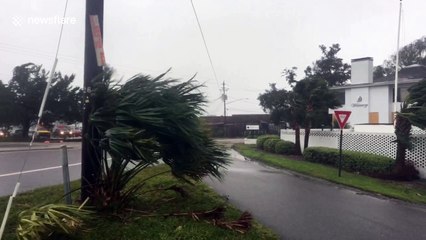 "Crazy" winds lash Wilmington, North Carolina