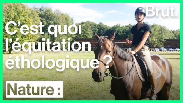 C'est quoi l'équitation éthologique ?