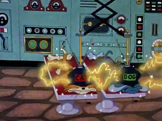 Tom i Jerry - Kocia zamiana