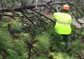 Downed Trees Removed From Roads as Florence Passes Through North Carolina