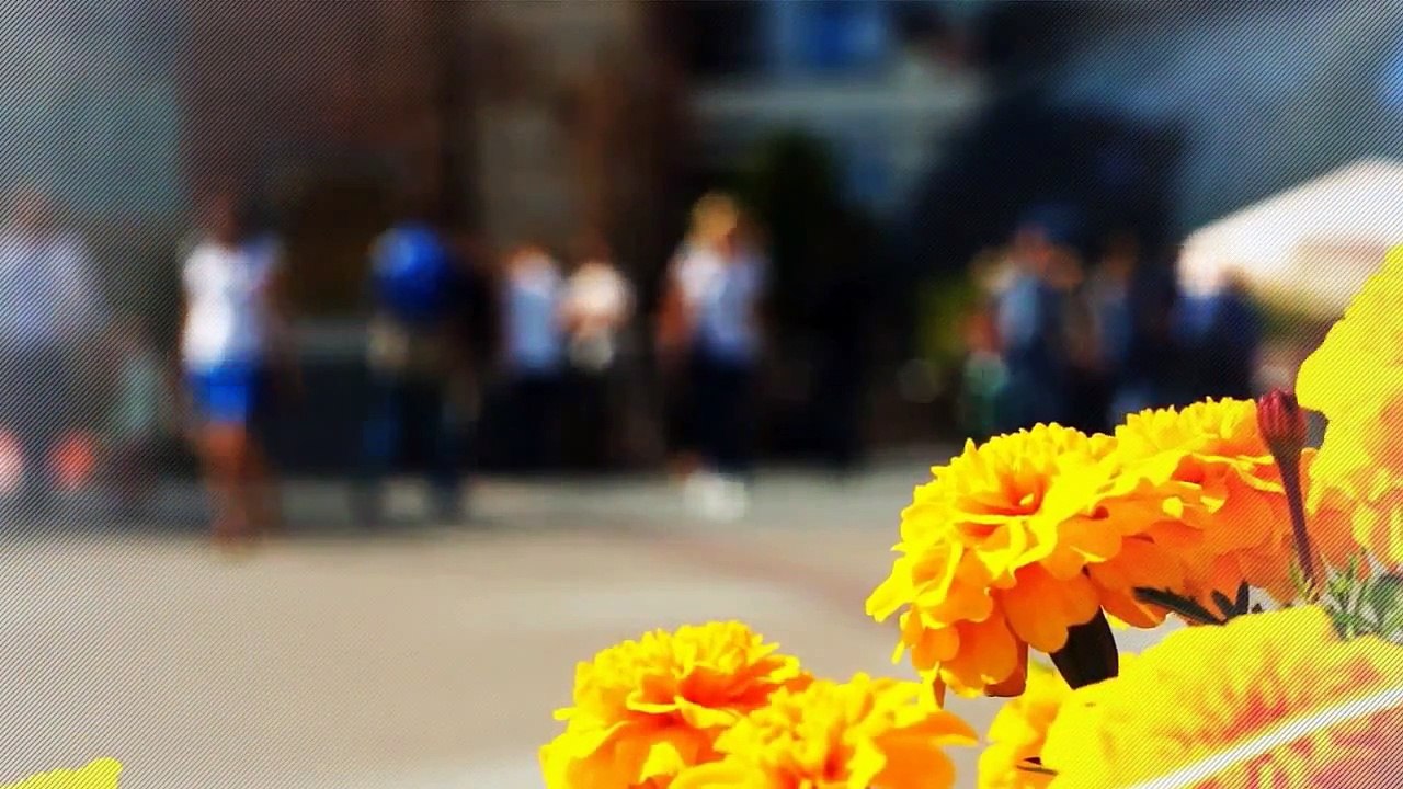 A louer - Appartement - SOUCIEU EN JARREST (69510) - 4 pièces - 71m²