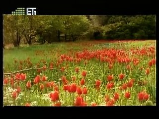 BLACK & WHITE -- MYRON __ '''Η ΕΑΡΙΝΗ ΣΥΝΑΞΙΣ ΤΩΝ ΑΓΡΟΦΥΛΑΚΩΝ''' (1ο) ----------