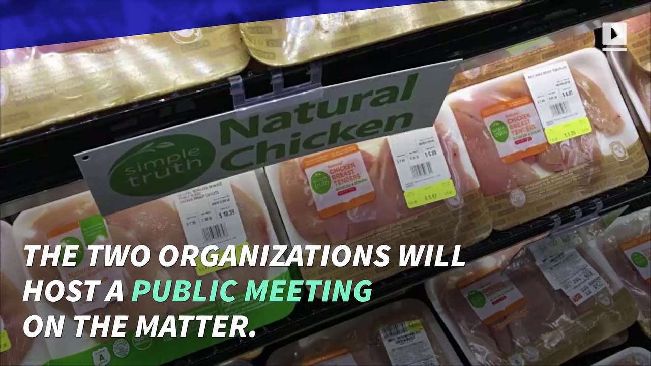 FDA and USDA to Debate Future of Lab-Grown Meat