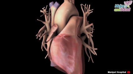 Cinco famosos con enfermedades de por vida.