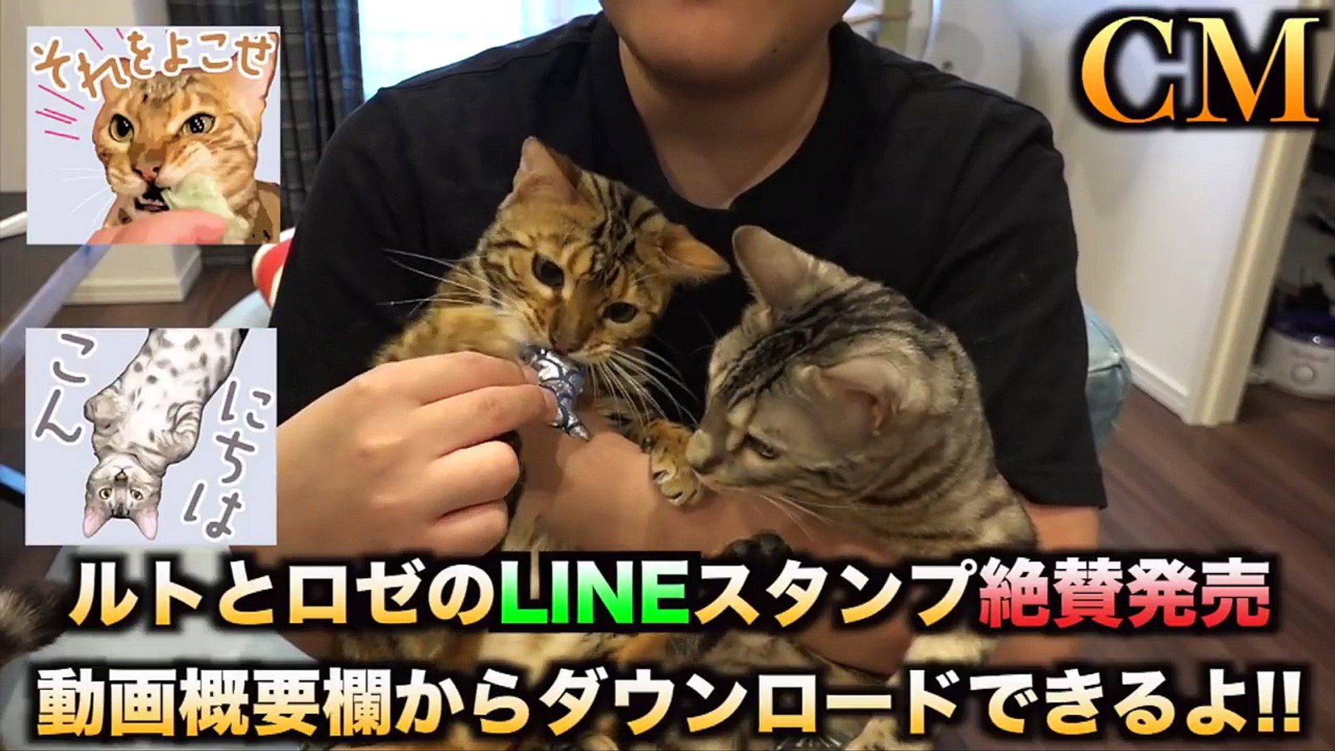 閲覧注意 ほっき貝に寄生する ヒル が想像以上にヤバイ件 Dailymotion Video