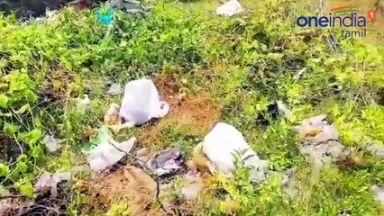 புறா மணி கொலை ! சென்னையில் பயங்கரம்-வீடியோ