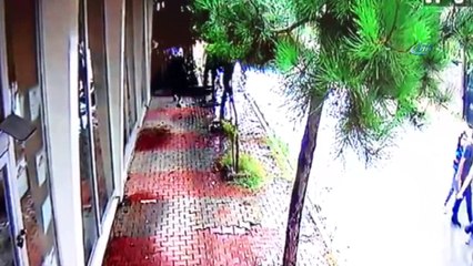 Meyvesini yedikleri 10 yıllık nar ağacını böyle kırdılar