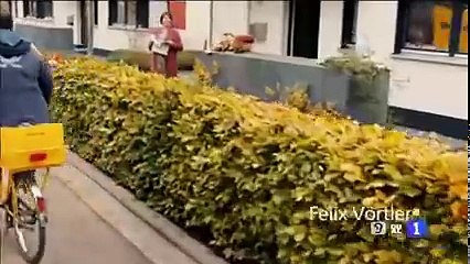 Retrato de mis vecinos Películas en español latino