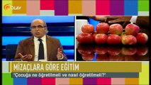 Yedi Renkli Çınar - 14-09-2018