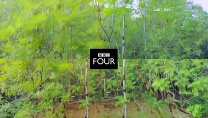 The Jeremy Thorpe Scandal (2018) BBC Crime Documentary part 1/2