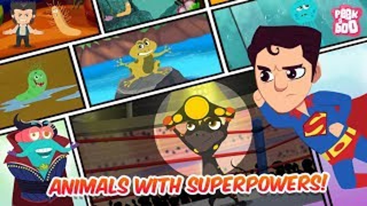 Animals With Superpowers! The Dr. Binocs Show Best Learning Videos For Kids Peekaboo Kidz