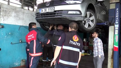 Aracın motor bölümüne giren yavru kedi güçlükle çıkarıldı - DÜZCE