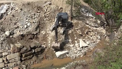 Trabzon Çaykara'da Toplu Balık Ölümleri Endişelendiriyor