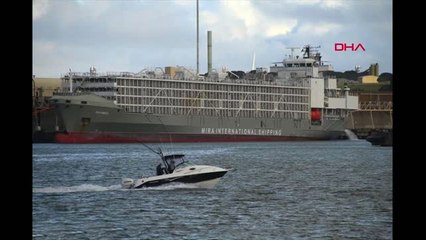 Mersin 'Gemide Şarbonlu Hayvan' İddiasıyla İlgili Açıklama