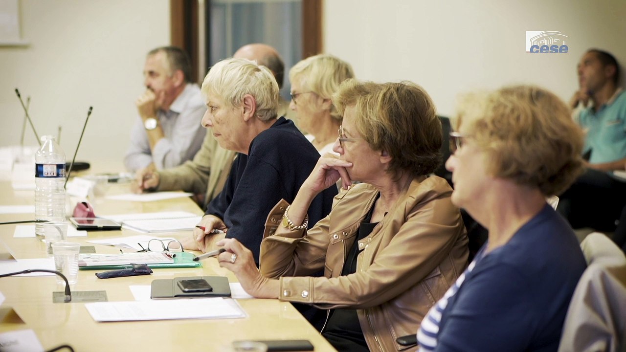 Luc ROUBAN (CNRS) - métiers de la fonction publique - cese