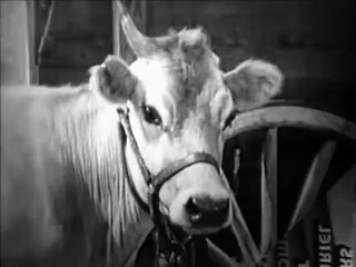 With Love and Kisses (1936) - (Comedy , Musical)