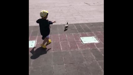 Cute Boy REALLY Want To Adopt These Bird!!