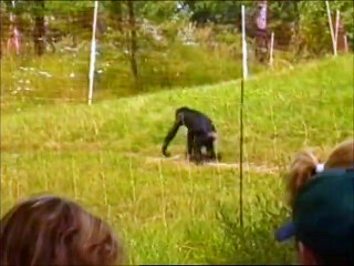 Wild Animal Rescues S01E03  Girl, Sampson, Dr. Nathanson