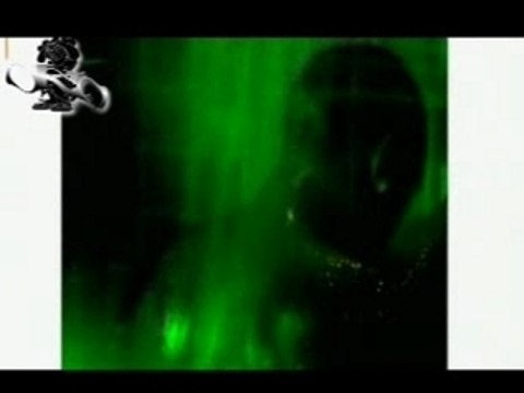 Warren - Je te donne [clip zouk by okso]