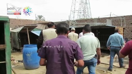 ضبط خمسة أسود أفريقية داخل هنجر بمنطقة الخانكة بالقليوبية