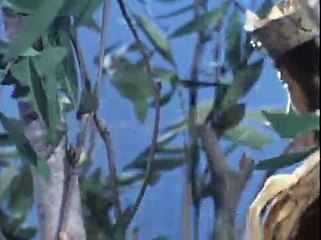 Monkey (TV series) S01E01 - Monkey Goes Wild about Heaven