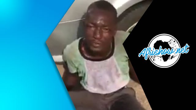 BUZZ VIDEO - VOLER N'EST PAS FACILE