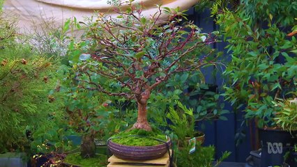 Gardening Australia ep. 34 2018