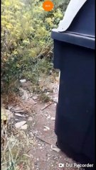 Denuncian una plaga de ratas y malos olores en Los Baldíos