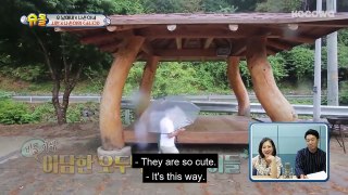 Na Eun Likes How Kind Si An is~ But Si An is Frozen! [The Return of Superman Ep 242]
