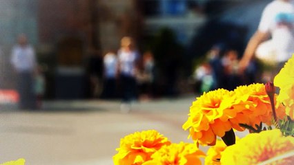 A louer - Maison - VERNAISON (69390) - 5 pièces - 90m²