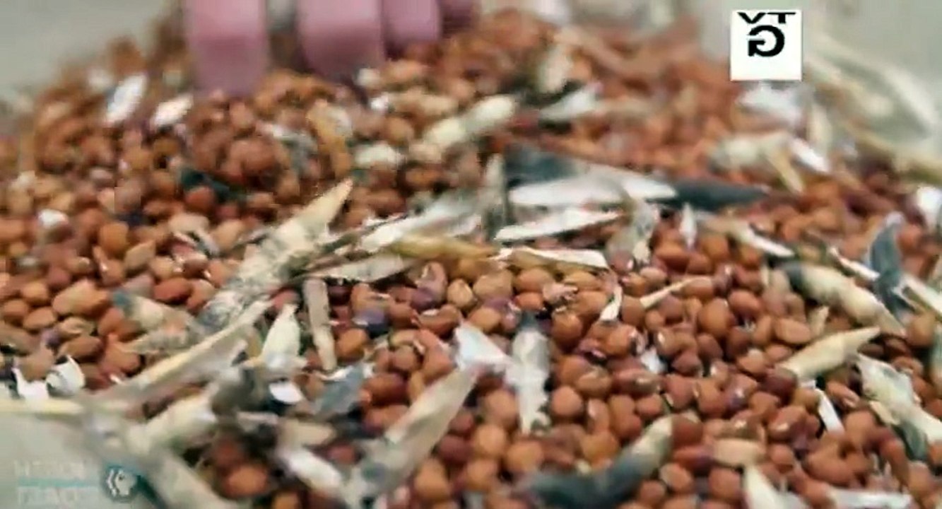 A Chefs Life S04  E03 Peas, Please