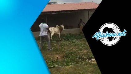 BUZZ VIDEO - L'HOMME PRUDENT VOIT LE MAL DE LOIN...