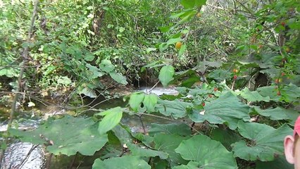 DOĞADA ISI YANSITMA REKLEFTÖR TARP YAPIMI VE KULLANIMI