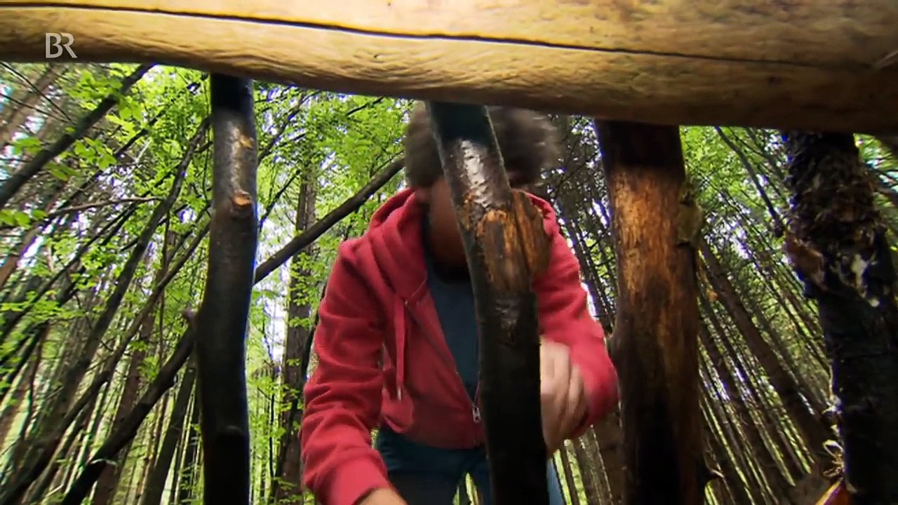 Der Survival-Check | Reportage für Kinder | Checker Can in der Wildnis