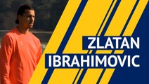 Zlatan Ibrahimovic scores 500th career goal - player profile
