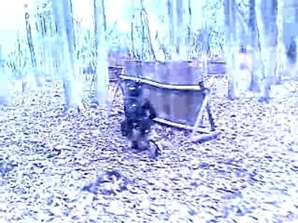Atomic paintball 03.11.2007