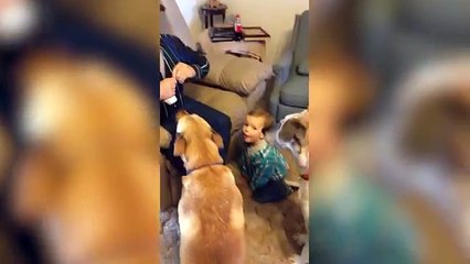 The Funniest Dogs Meet The Cutest Kids - Babies of 2018 Weekly Compilation | Funny Dog Videos