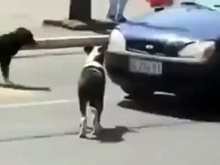 예스카지노사이트☎ https://yes848.com ☎정선카지노\사설카지노놀이터\태산카지노\애플카지노