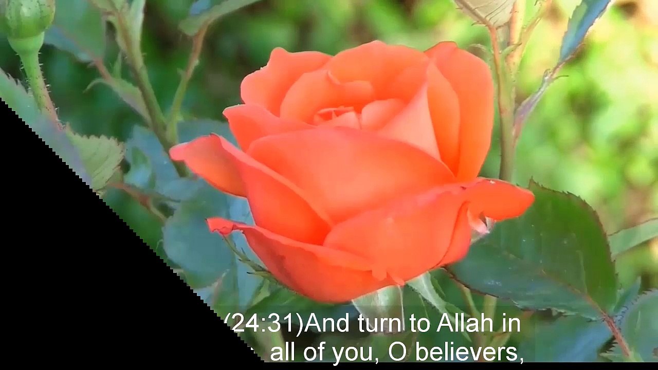 Four Gateways To Control Emotions Regarding The Qadar Of Allah