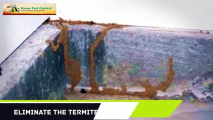 Termite Control Pinal County AZ 480-493-5028 Ozone Pest Control