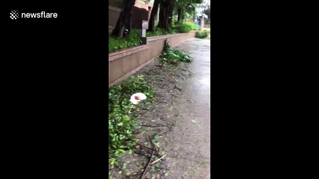 Streets of Hong Kong littered with debris as typhoon continues to slam city