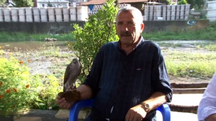 Kolunda taşıdıkları yırtıcı kuşları bebek gibi besliyorlar... Nesilden nesile gelen 'Atmaca' tutkusu