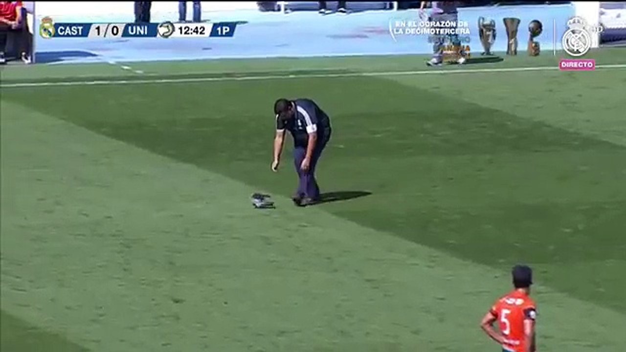 Una paloma se cuela en el partido del Real Madrid Castilla - Unionistas Salamanca