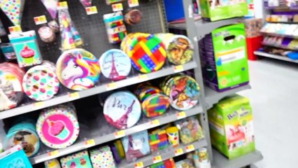 I THREW MY DOGS A BIRTHDAY PARTY! ITS A PAW TY