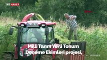 “Milli Tarım Yerli Tohum Deneme Ekimleri” projesinde ilk mısır hasadı yapıldı