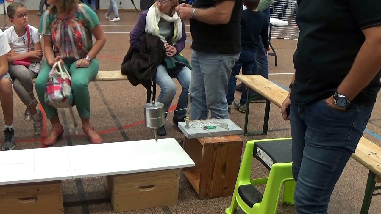 Foucaultsches pendel