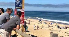 ABD'de Sörf Yapan Genç, Köpek Balığı Saldırısı Sonucu Yaşamını Yitirdi