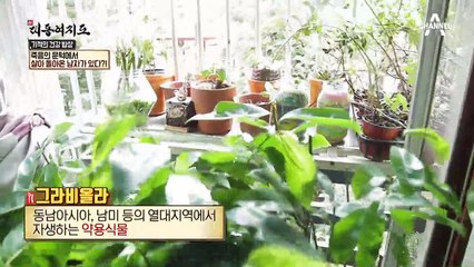 위암 4기, 죽음의 문턱에서 살아돌아온 남자