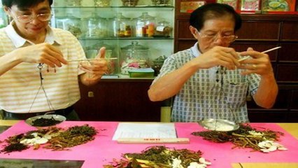 Cissus quadrangularis - A planta fitness seca gordura. Seus benefícios e como pl