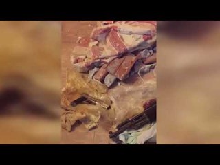 Tirane - Fsheh armet brenda murit